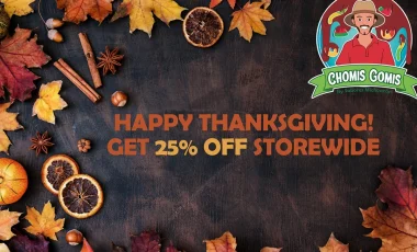 Chomis-Gomis-Halloween-blog-resized-1536x1026 1